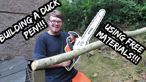 Building a Duck Pen With Logs!!! (Using FREE Materials)