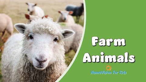 Farm Animals Video for Kids