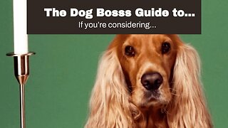 The Dog Bosss Guide to Managing a Dog