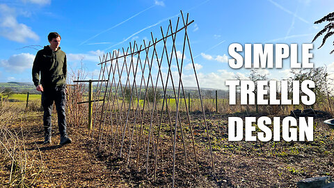 How To Build A SIMPLE Trellis (That Actually Looks Good)