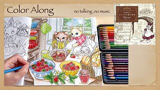 Color Along, Calming, Stress Relief "Oshama Cat Story" Nelco Neco Coloring Book no talking ASMR