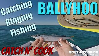 Catch and Rig Ballyhoo | Fishing Offshore Key Largo | Catch N Cook