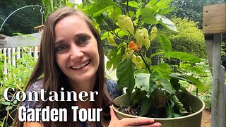 Container Garden Tour | August-September 2023