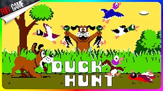 Duck Hunt · 8-bit Nintendo