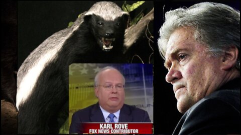 Must Watch Speech From The Honey Badger at CPAC. Calls Out Neocon Hacks Karl Rove and Fox News.