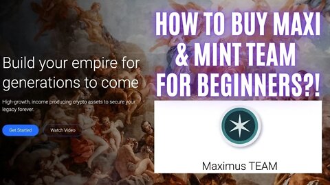 How To Buy Maxi & Mint Team For Beginners?!