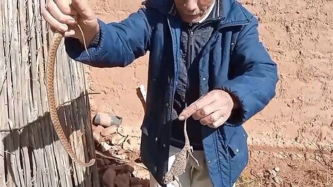 Hunting trip🔥 A farm owner asks a snake catcher to take out a snake that has entered his farm