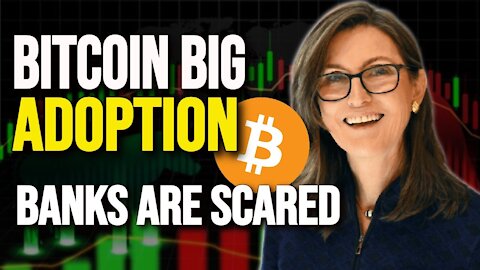 Cathie Wood LATEST Update On Bitcoin Adoption, Defi And The Market