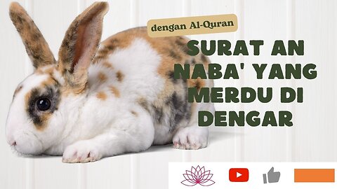 Read Al Quran Surah An Naba Rhythm Jiharkah Cute Rabbit Theme