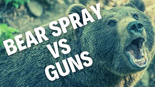 Bear Spray Vs Guns