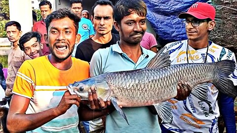 টিকটক সেলিব্রেটির অবিশ্বাস্য মাছ শিকার/Incredible giant fishing video