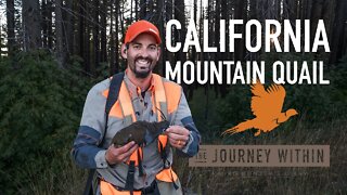 California Mountain Quail: The Journey Within - A Bird Hunter's Diary | Mark V Peterson