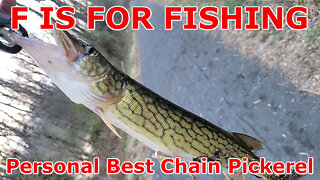 Personal Best Chain Pickerel