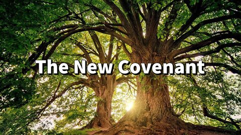 The New Covenant In Christ's Blood || Promise that God Swore to Give Mankind || Plan of Redemption