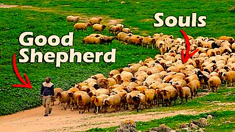 Jesus The Soul Of The Shepherd !!