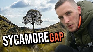 The Robin Hood Tree & Roman Fort Adventure, in Northumberland. | 4K
