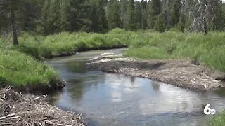 Sawtooth National Recreation Area seeking volunteers for cleanup efforts