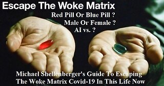 Michael Shellenberger's Guide To Escaping The Woke Matrix Covid-19 In This Life