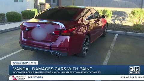 Vandal throws paint on cars, security camera and buildings at Goodyear apartment complex