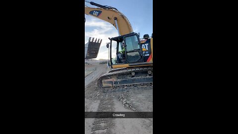 Cat 336