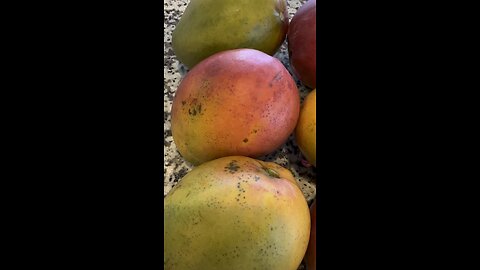 Mangoes