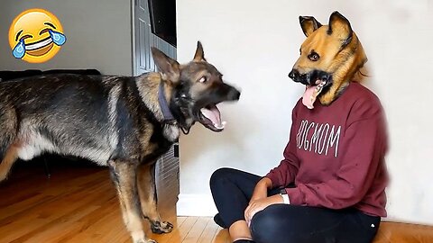Funny_Dogs_Reaction_Moments_-_Funniest_Animals_Video_2023.