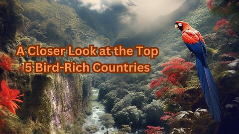 Feathered Nations: A Closer Look at the Top 5 Bird-Rich Countries