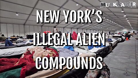 New York's Illegal Alien Compounds Exposed... Stabbings, Drugs, Deaths, & More...
