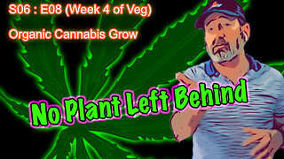 S07 E08 - Major Defoliation, Lollipopping, "Kushman Chiropractic" in Second Week of Flower