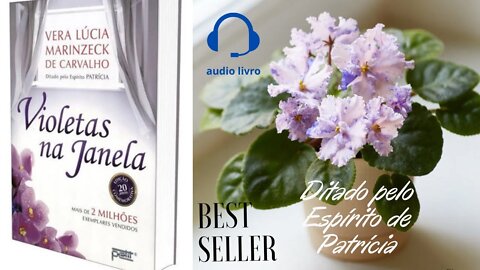 Violetas na Janela - Audiolivro - Vera Lúcia Marinzeck