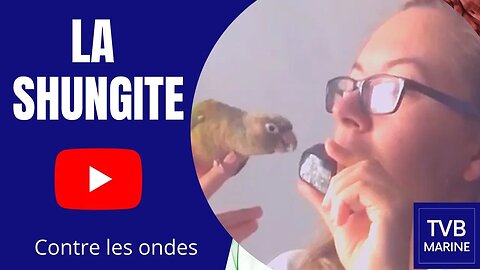 La Shungite contre les ondes