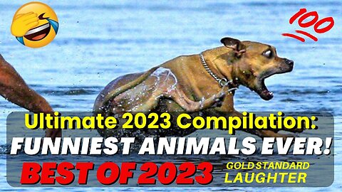 Ultimate 2023 Compilation: Funniest Animals Ever! | Relax & Smile with the Cutest Animal Moments