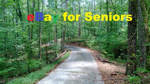 Starting an Ebay business for seniors