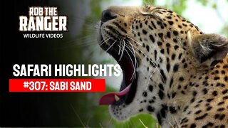 Safari Highlights #307: 16 - 19 Nov 2014 | Sabi Sand Nature Reserve | Latest Wildlife Sightings