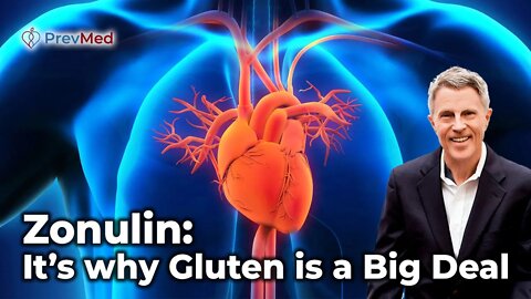 Zonulin: It’s why Gluten is a Big Deal