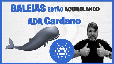 (ADA) CARDANO preço ainda vale a pena comprar? A verdade sobre acriptomoeda 🔷