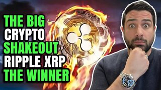 🚨 THE BIG CRYPTO SHAKEOUT | RIPPLE (XRP) IS THE WINNER | JED IS OUT OF XRP 8 DAYS VOYAGER IS A MESS