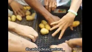 DESESPERO em Águas Claras - BRIGA por ALIMENTOS