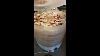 Dehydrating onions EDEN'S LIVING TV