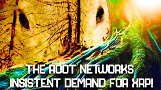 I WAS WRONG! This is the Truth About the Root Network!