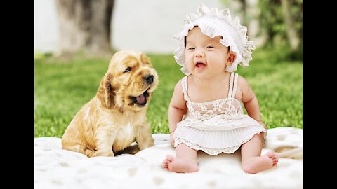 Funny baby laughing hyestrically at dog