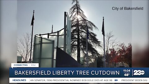Bakersfield's Liberty Tree cutdown due to declining health