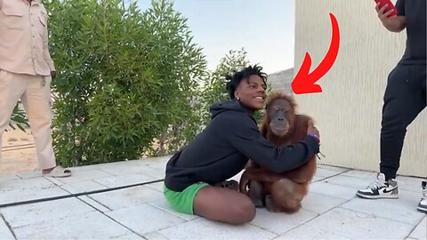 iShowSpeed rizzes up a monkey *FUNNY*