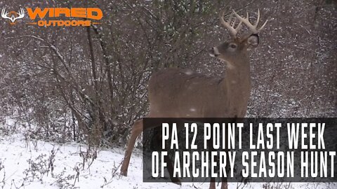 PA 12 Point Last Week Of Archery Season Hunt