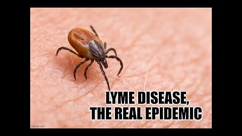 Lyme Disease, the Stealth Epidemic