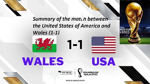 Summary of the match between the United States of America and Wales (1-1)