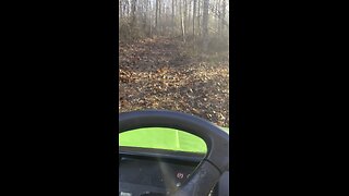 Lots of leaves on trails