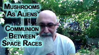 Mushrooms As Aliens, a Form of Communion and Communication Between Space Races