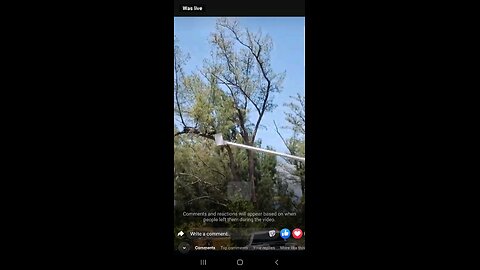 Destroying an Eagle Nest on Parmelee Key