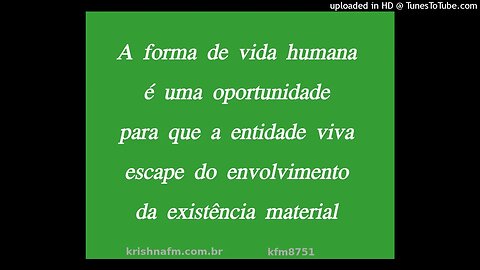 A forma de vida humana é uma oportunidade para que a entidade viva escape do... kfm8751
